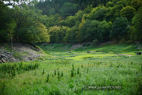 DSC05241.JPG