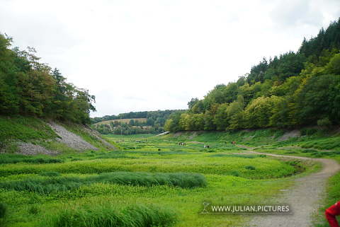 DSC05250.JPG
