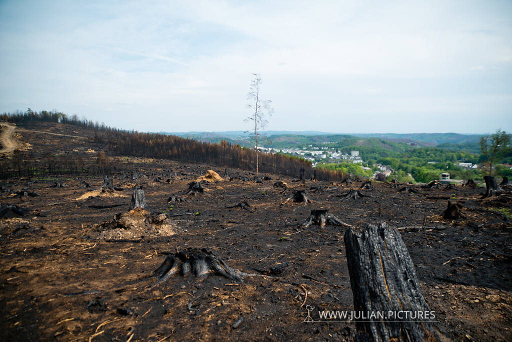 Waldbrand Hömerich